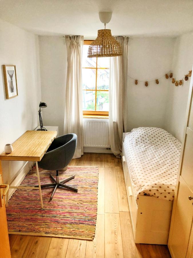 Charming Apartment Basel Border - 3 Bedrooms Hegenheim Екстер'єр фото