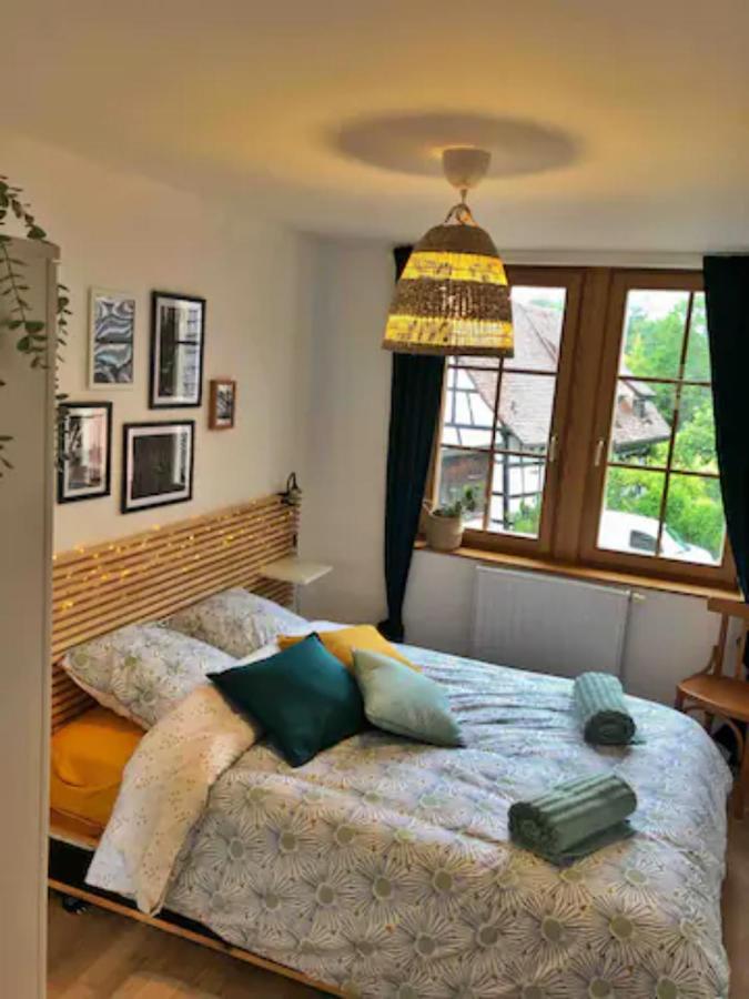 Charming Apartment Basel Border - 3 Bedrooms Hegenheim Екстер'єр фото